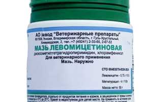 Инструкция по применению Левомицетиновой мази для лечения