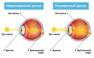 Как можно расширить зрачки безопасно и эффективно