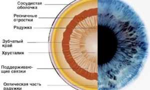 Что такое радужная оболочка глаза и её функции