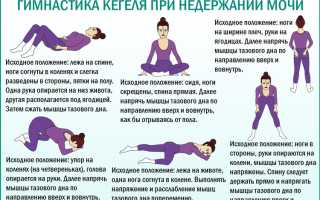 Упражнения для укрепления мочевого пузыря у женщин и мужчин