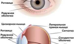 Особенности строения склеры глаза и её патологии: важные аспекты здоровья
