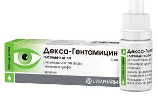 Инструкция по применению препарата Декса-Гентамицин для ветеринарии