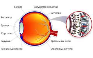 Симптомы, причины и способы лечения хориоретинальной дистрофии сетчатки: полезная информация