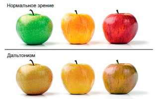 Что такое дальтонизм и как с ним жить в современном мире