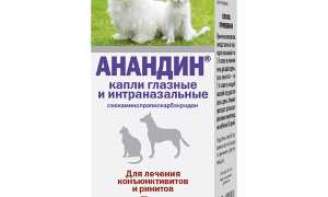 Глазные и интраназальные капли для животных Анандин: полезные свойства и применение