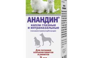 Глазные и интраназальные капли для животных Анандин: полезные свойства и применение