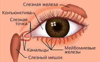 По каким причинам вытекает глаз у человека