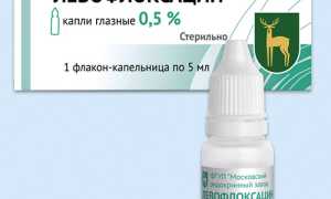 Применение капель Левофлоксацин для лечения глаз и профилактики заболеваний