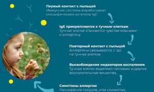 Применение глазных капель при аллергии на амброзию: советы и рекомендации