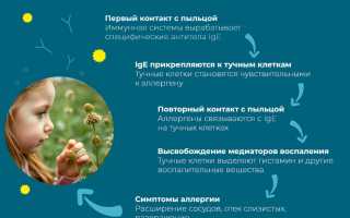 Применение глазных капель при аллергии на амброзию: советы и рекомендации