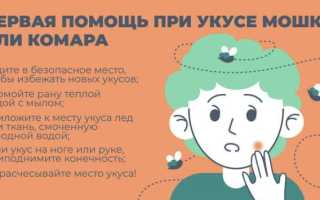 Чем снять отёк, если мошка укусила в глаз: полезные советы