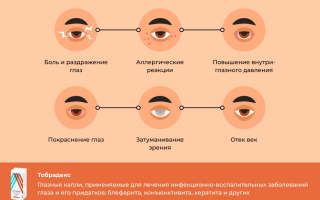 Свойства и применение глазной мази Тобрадекс в офтальмологии