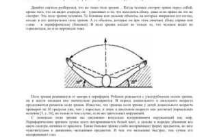 Значение и особенности бокового зрения в жизни женщин и мужчин: важные аспекты