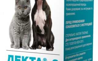 Когда показана терапия глазными каплями Декта-2 для лечения заболеваний
